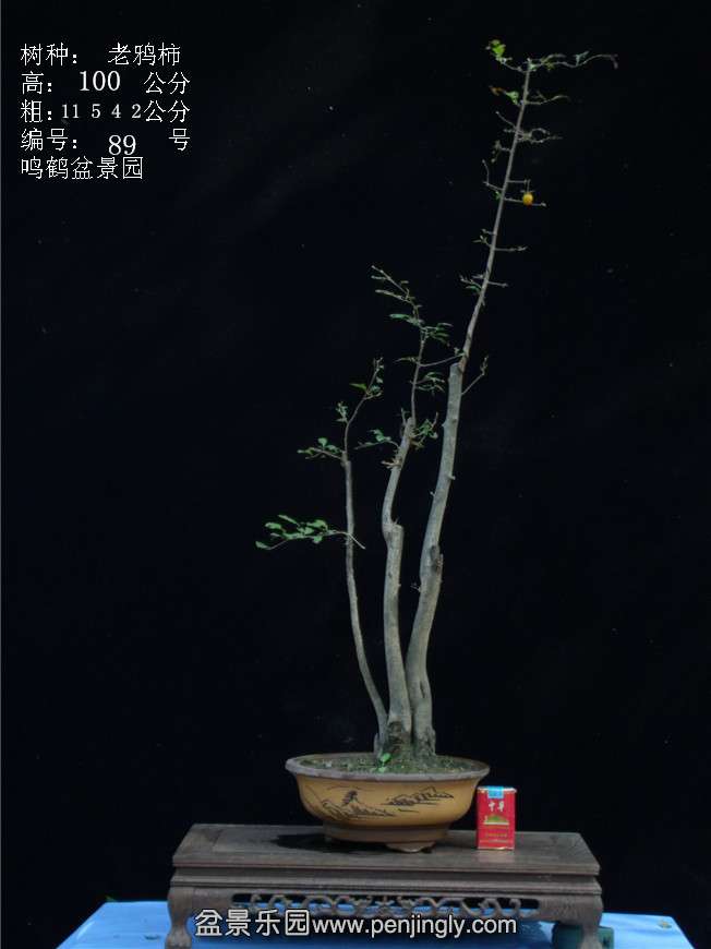 GEDC3188.JPG
