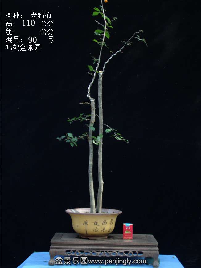 GEDC3189.JPG