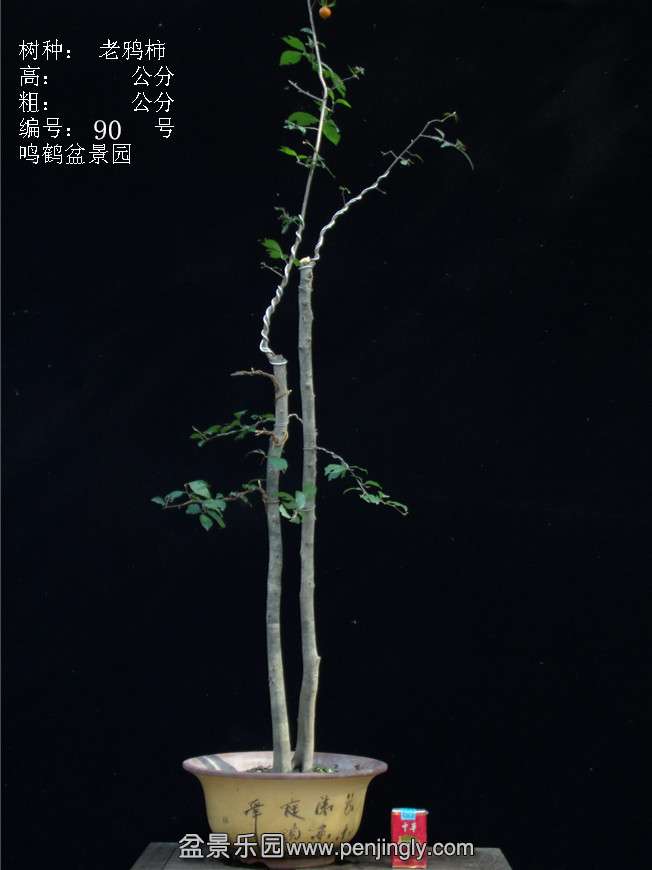 GEDC3190.JPG