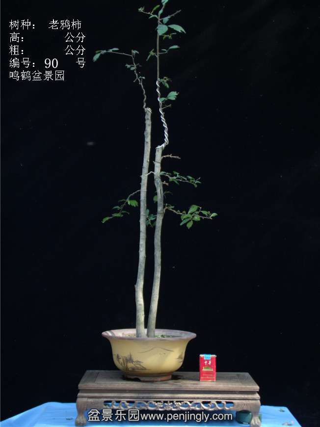 GEDC3192.JPG