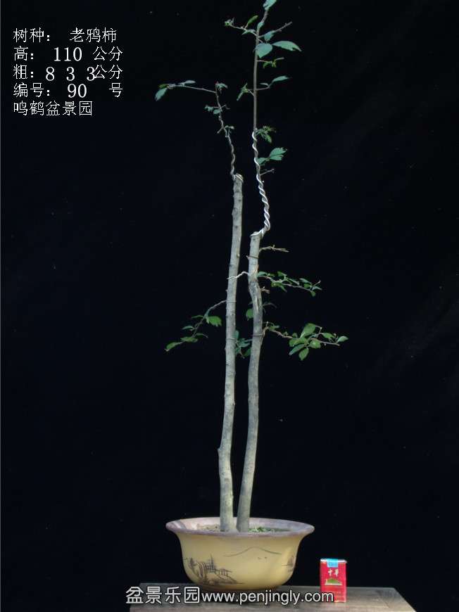 GEDC3193.JPG