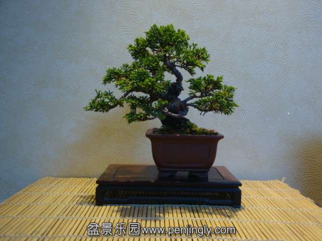 DSC01835.JPG