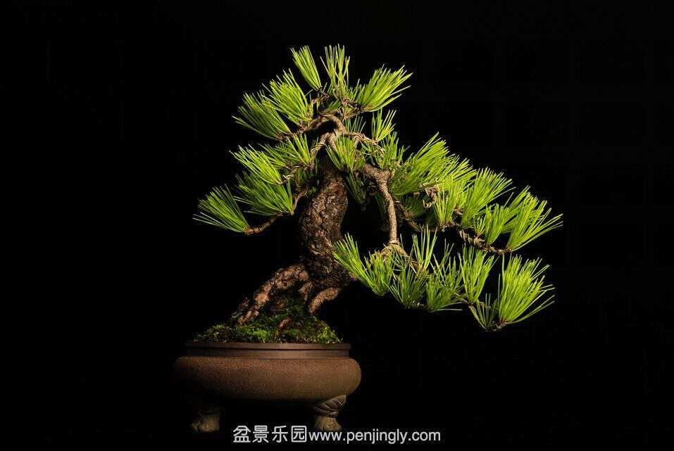 QQͼƬ20151009120617.jpg