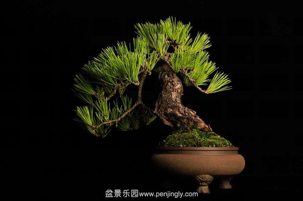 QQͼƬ20151009120648.jpg
