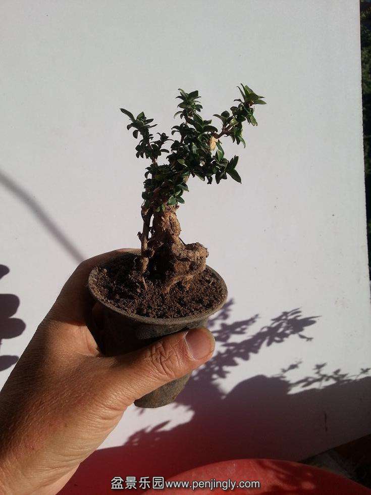 20151011_151556.jpg