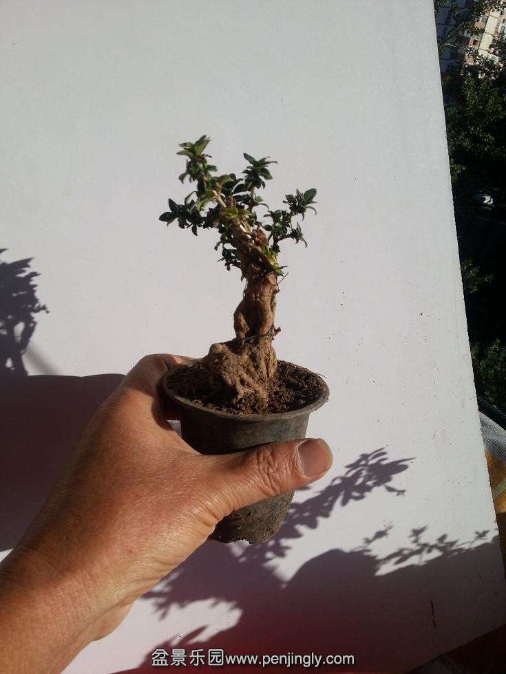 20151011_151525.jpg