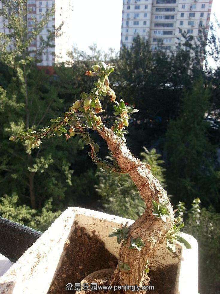 20151011_143831.jpg