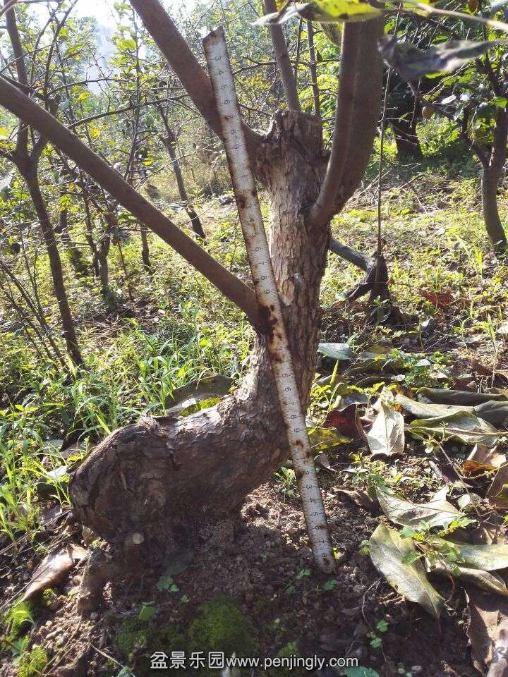 QQͼƬ20151015093914.jpg