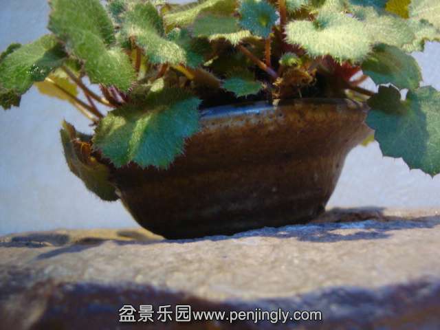 DSC01862.JPG