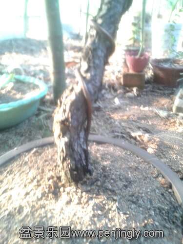 20151017_160114.jpg