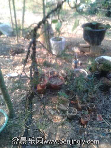 20151017_160052.jpg