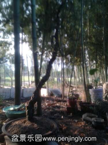 20151017_160043.jpg