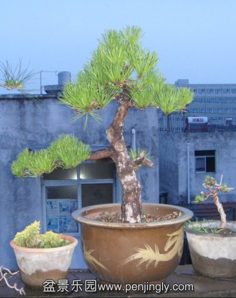 QQͼƬ20151017220850.png
