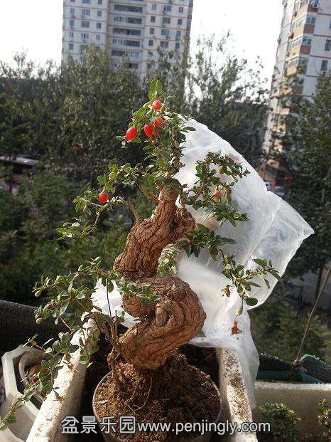 20151018_090028.jpg