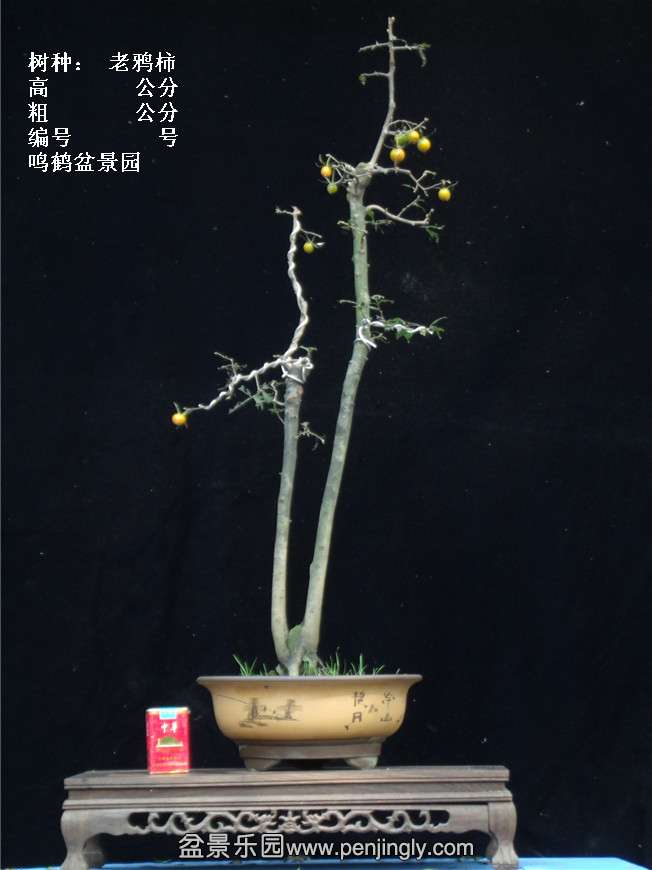 GEDC3897.jpg