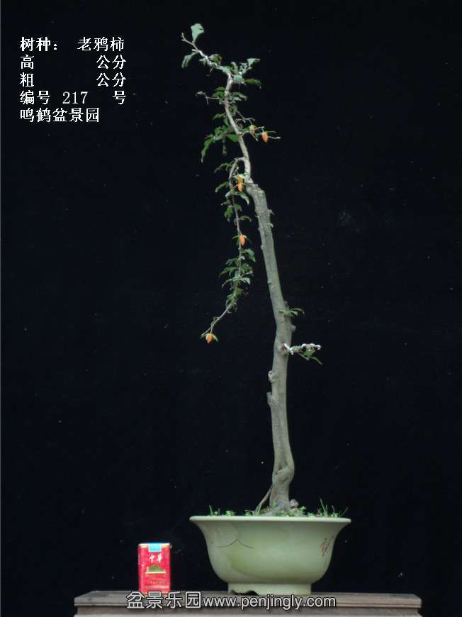 GEDC3910.jpg