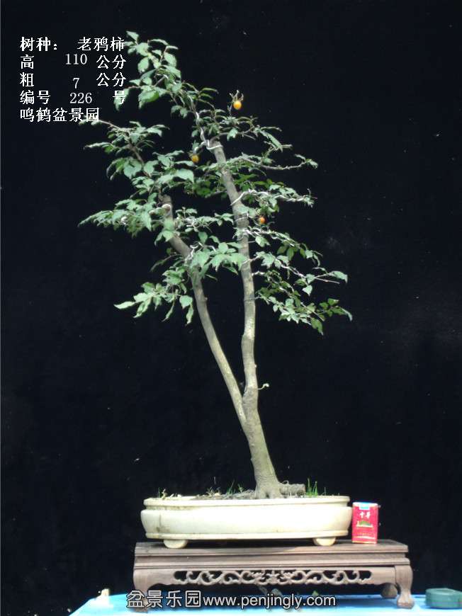 GEDC3947.jpg