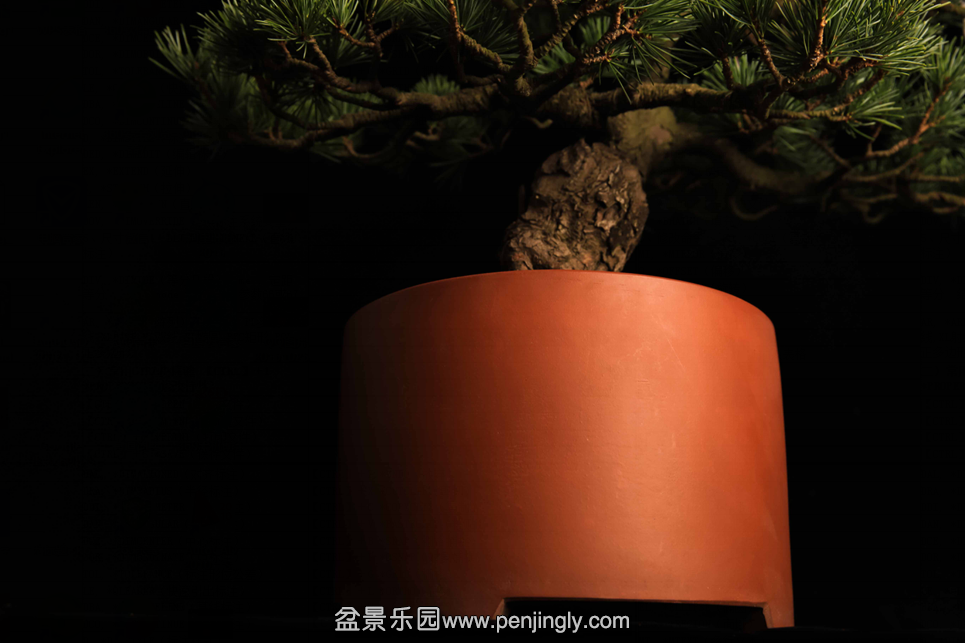 QQͼƬ20151025180512.png