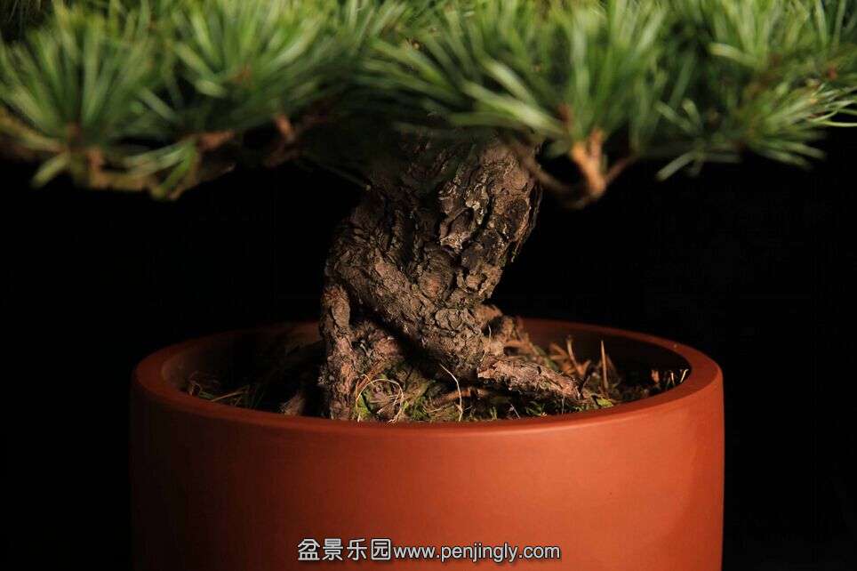 QQͼƬ20151025180526.jpg