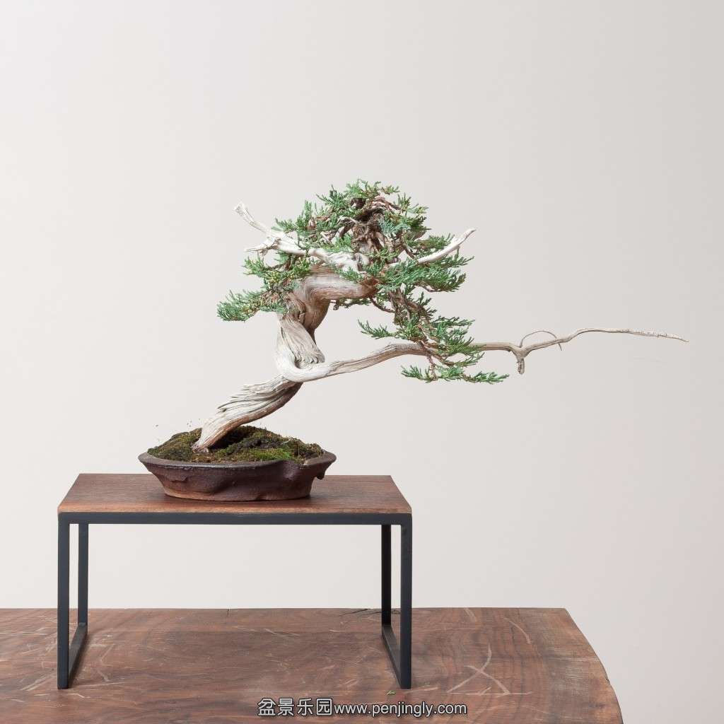 conew_14_0319_studio-257-2.jpg
