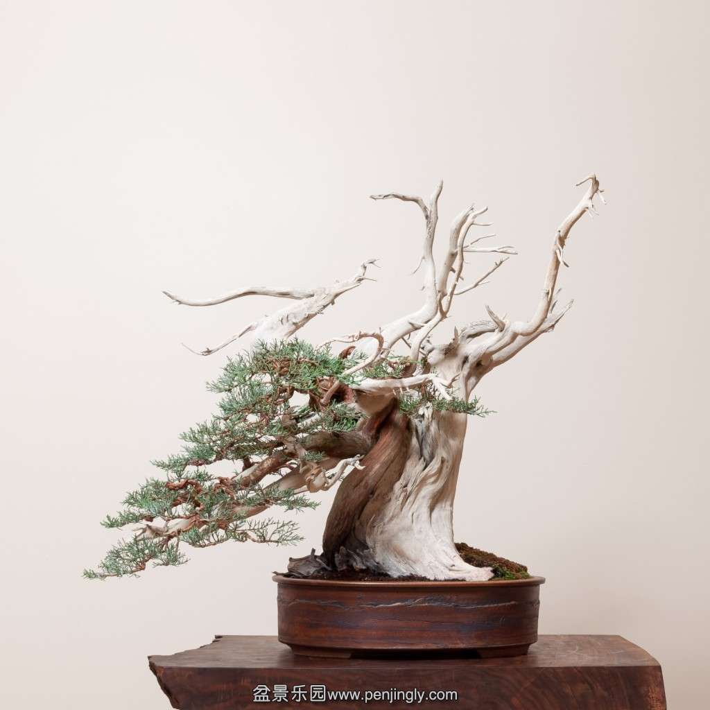 conew_14_0319_studio-1249-2.jpg