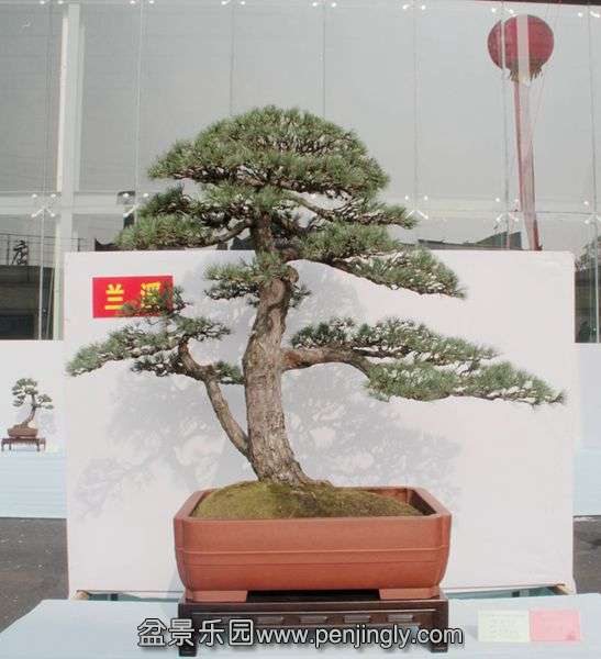 5555 244.jpg