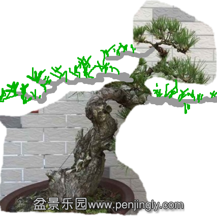 160318d2nhmns29lql2fn2.jpg.thumb__.png