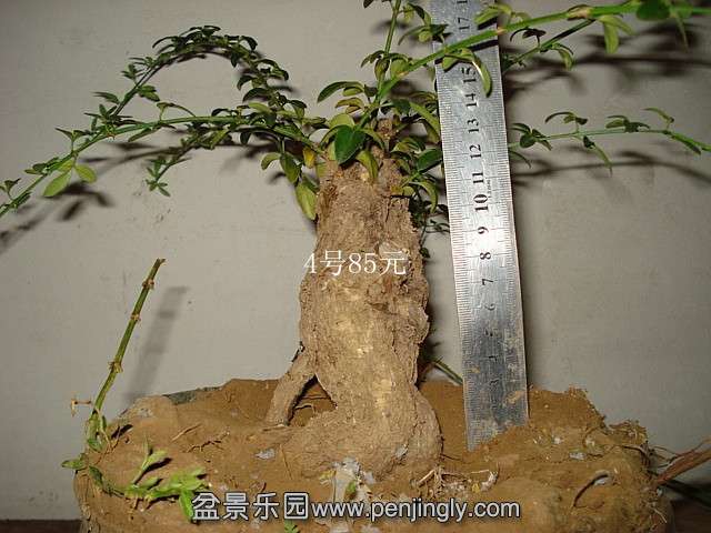 183326adhfluhlkpc9e5qy.jpg.thumb.jpg