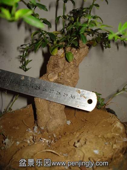 183330bc11prv8bcxfyzcr.jpg.thumb.jpg