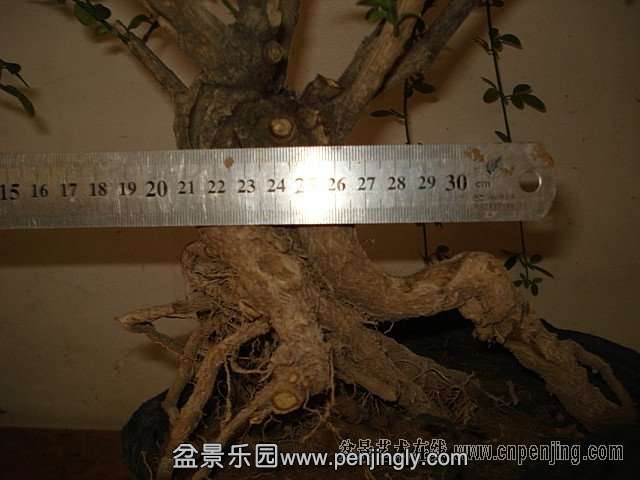 210136wyi8ghihyih6hldi.jpg.thumb.jpg