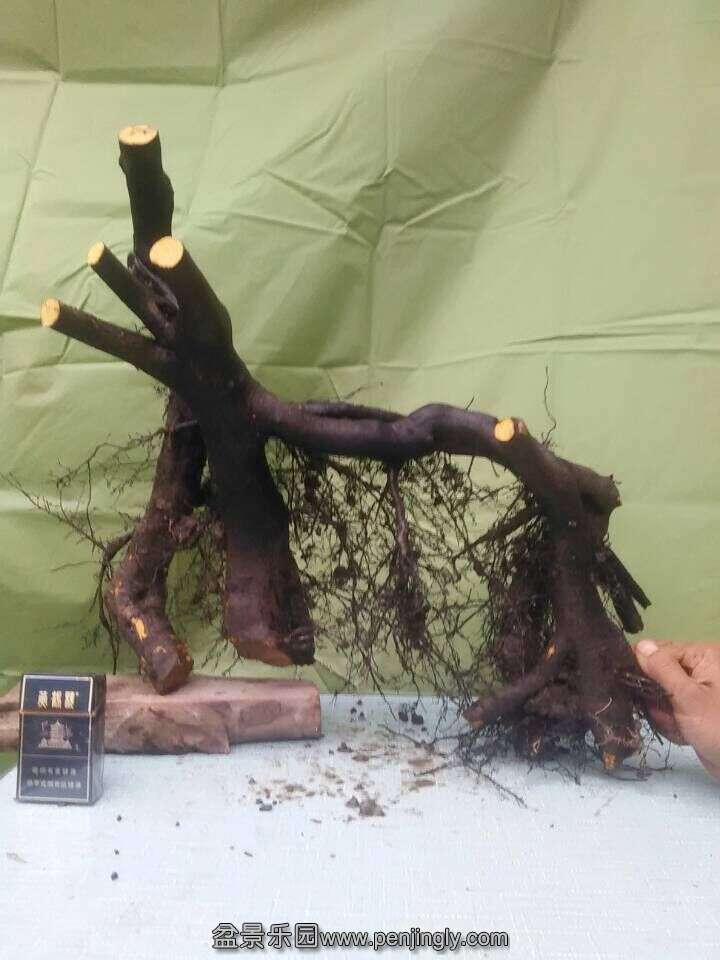 2.jpg