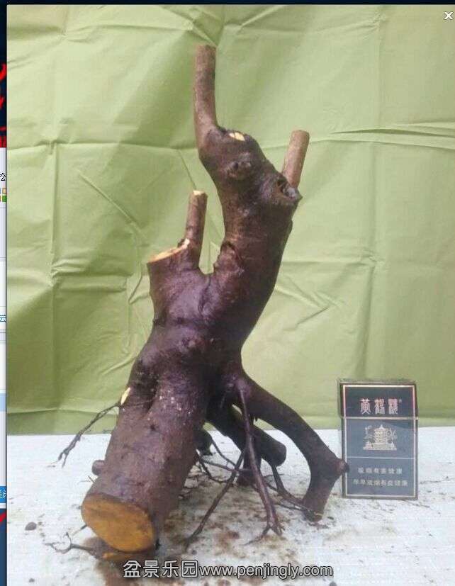 .4.jpg
