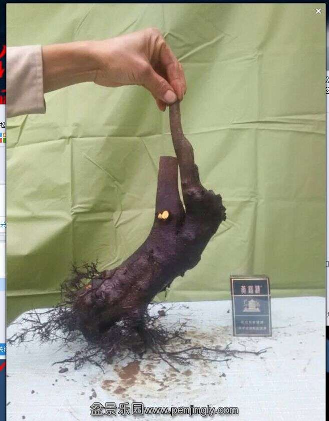 .5.jpg