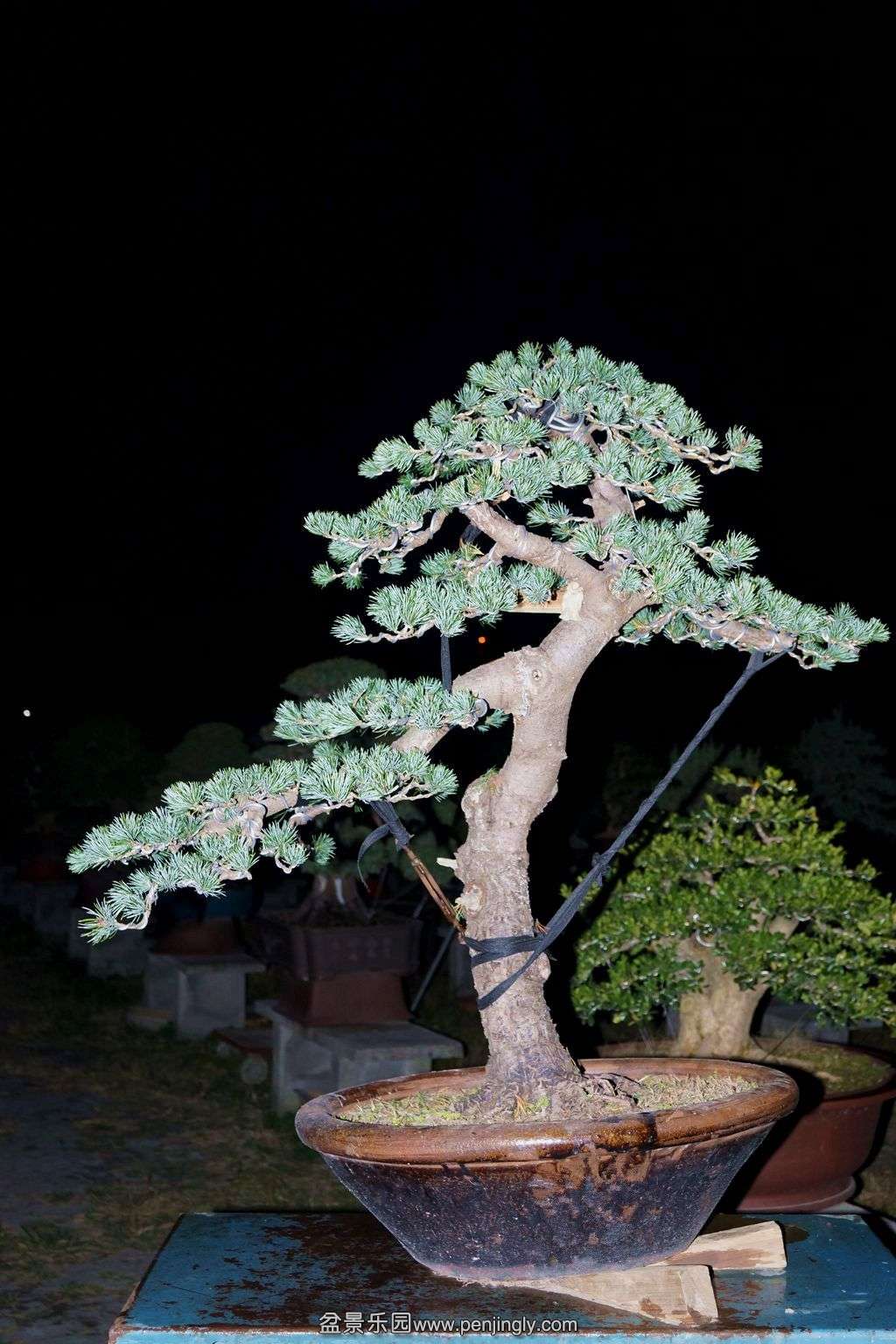 420.jpg