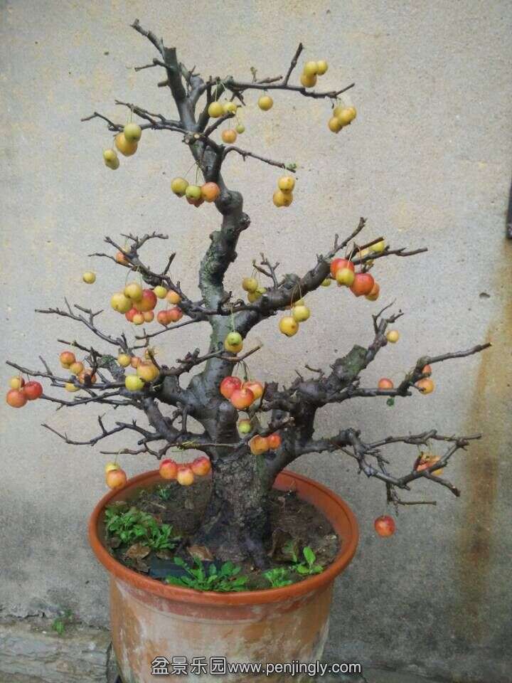 QQͼƬ20151025112000.jpg