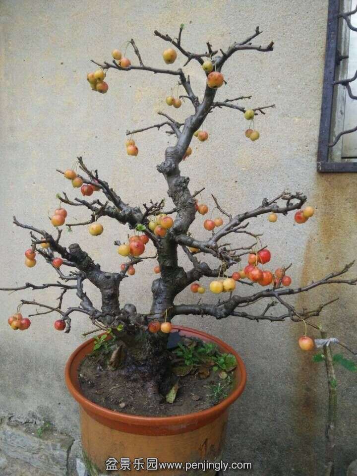 QQͼƬ20151025112009.jpg