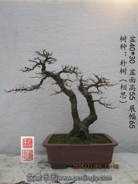 IMG_7249__.jpg