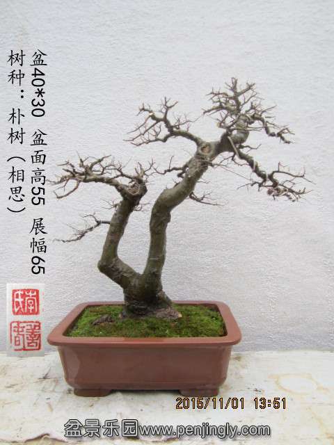IMG_7253__.jpg