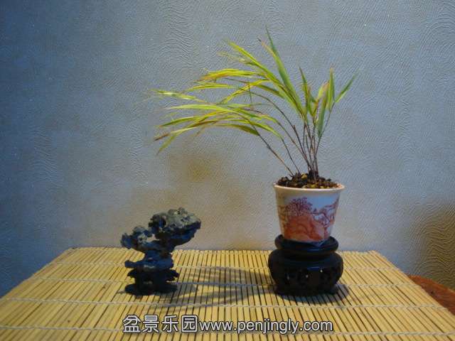 DSC02016.JPG
