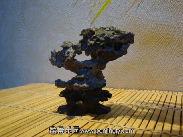 DSC02020.JPG