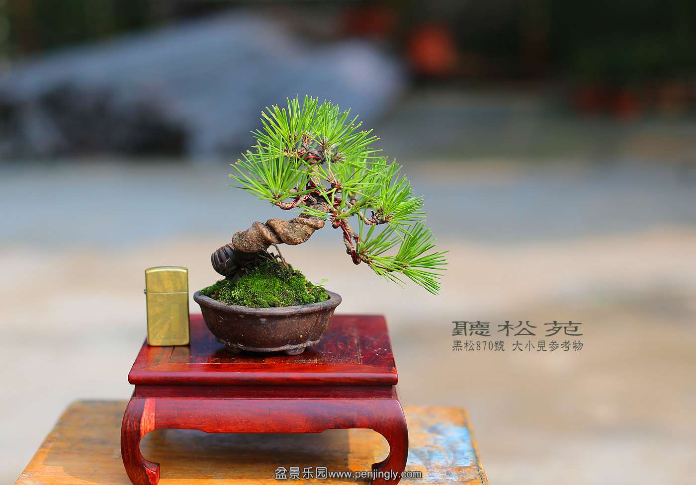 870.jpg