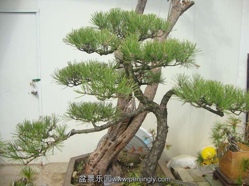 DSC04135_.jpg