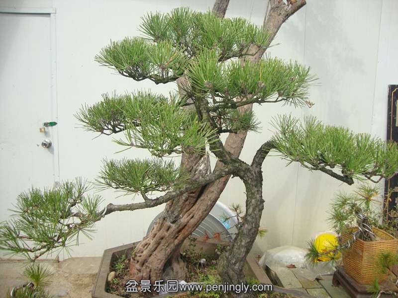 DSC04136_.jpg