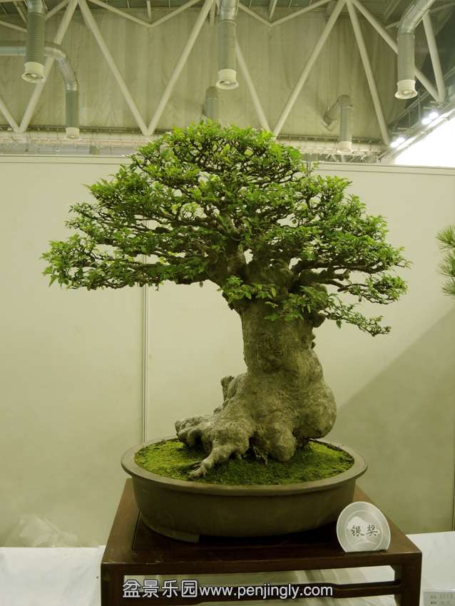 DSCN7648.jpg