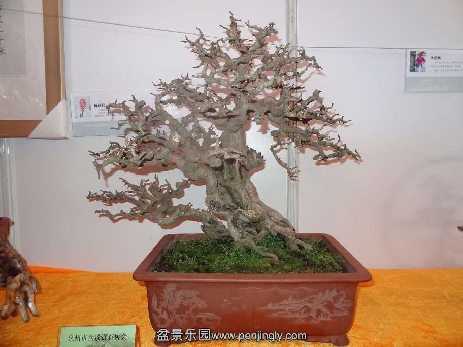 DSC03138.jpg