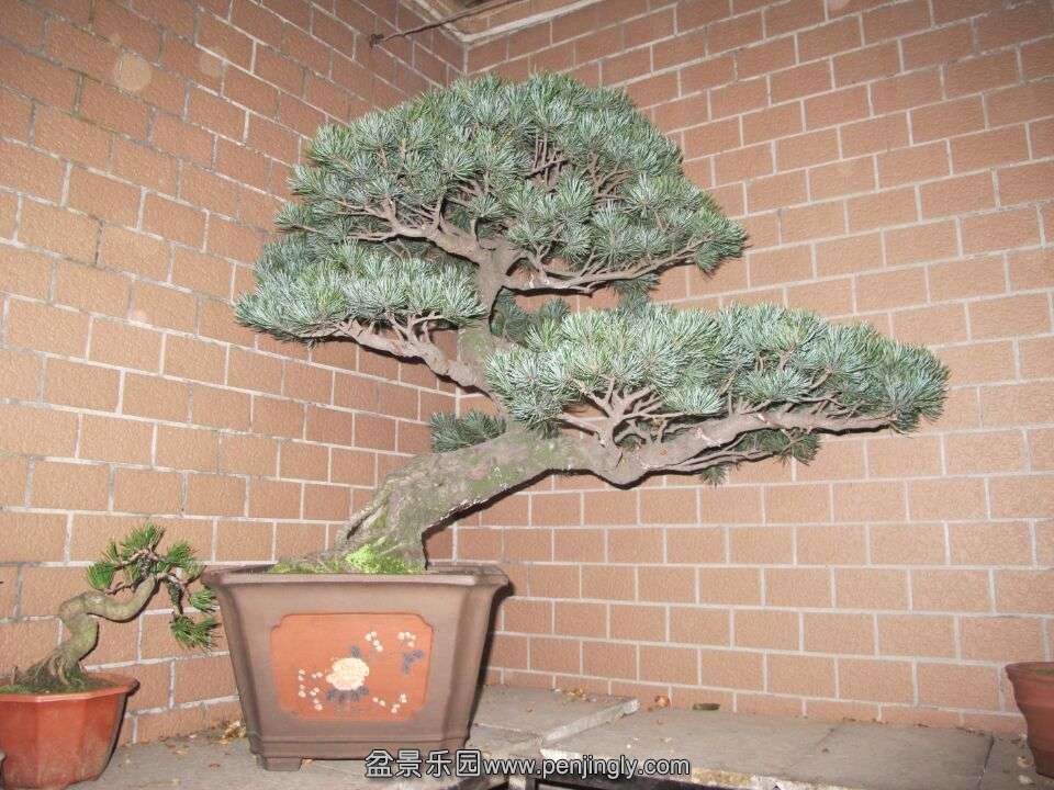 .jpg