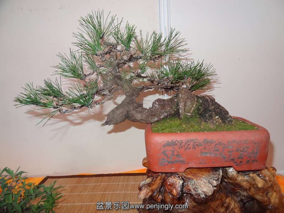 DSC03142.jpg