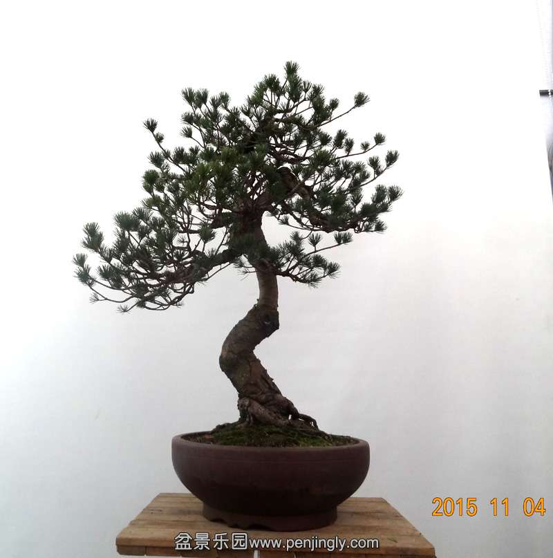 a01.jpg