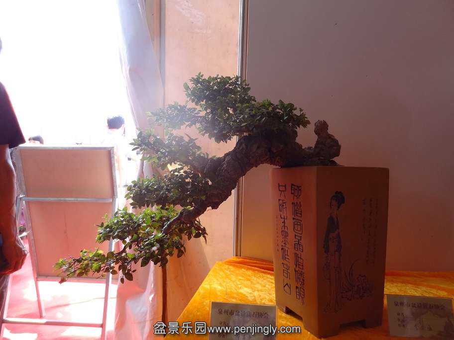 DSC03168.jpg
