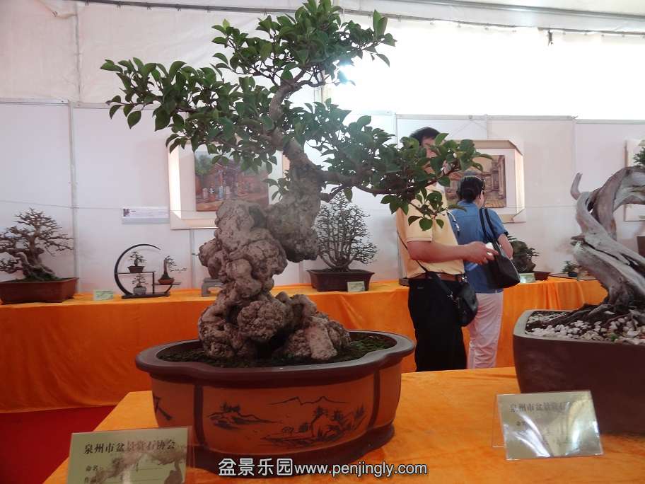 DSC03170.jpg